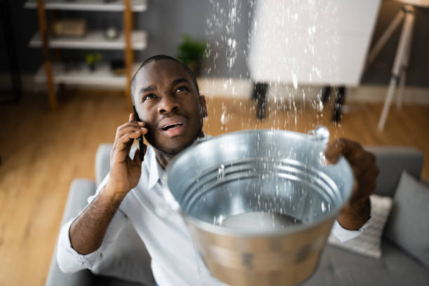Best Flooded house restoration  in Mogadore, OH