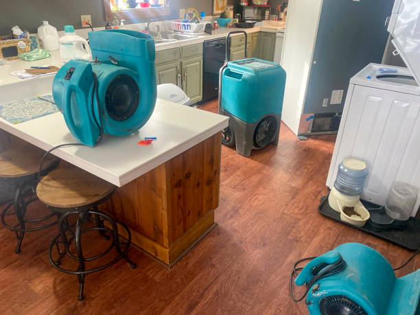 Best Water damage restoration near me  in Mogadore, OH