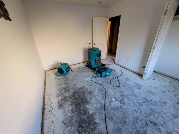 Trusted Mogadore, OH Water damage restoration Experts