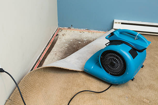 Best Basement water damage restoration  in Mogadore, OH